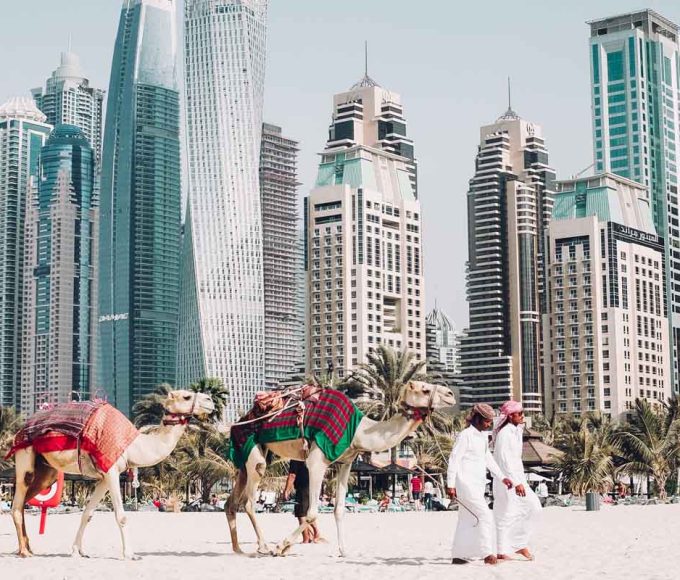 Winter markets dubai